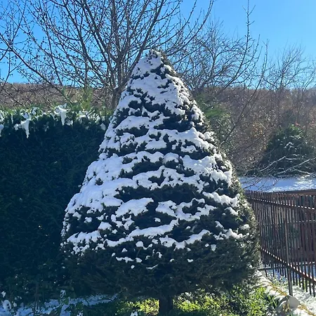 La Petite Maison Appartement *