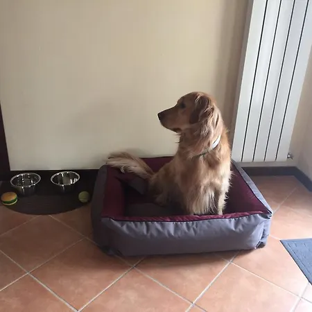 La Petite Maison Lägenhet