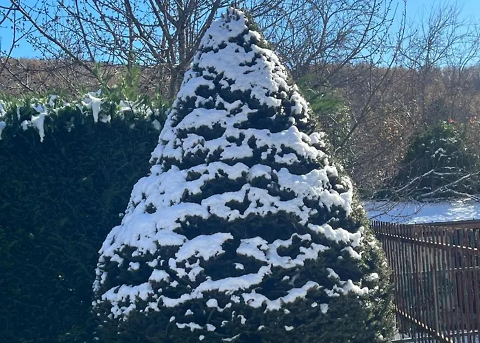 La Petite Maison Apartman *